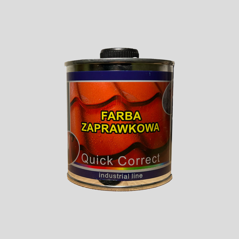 Opravný Lak 100ml - RAL